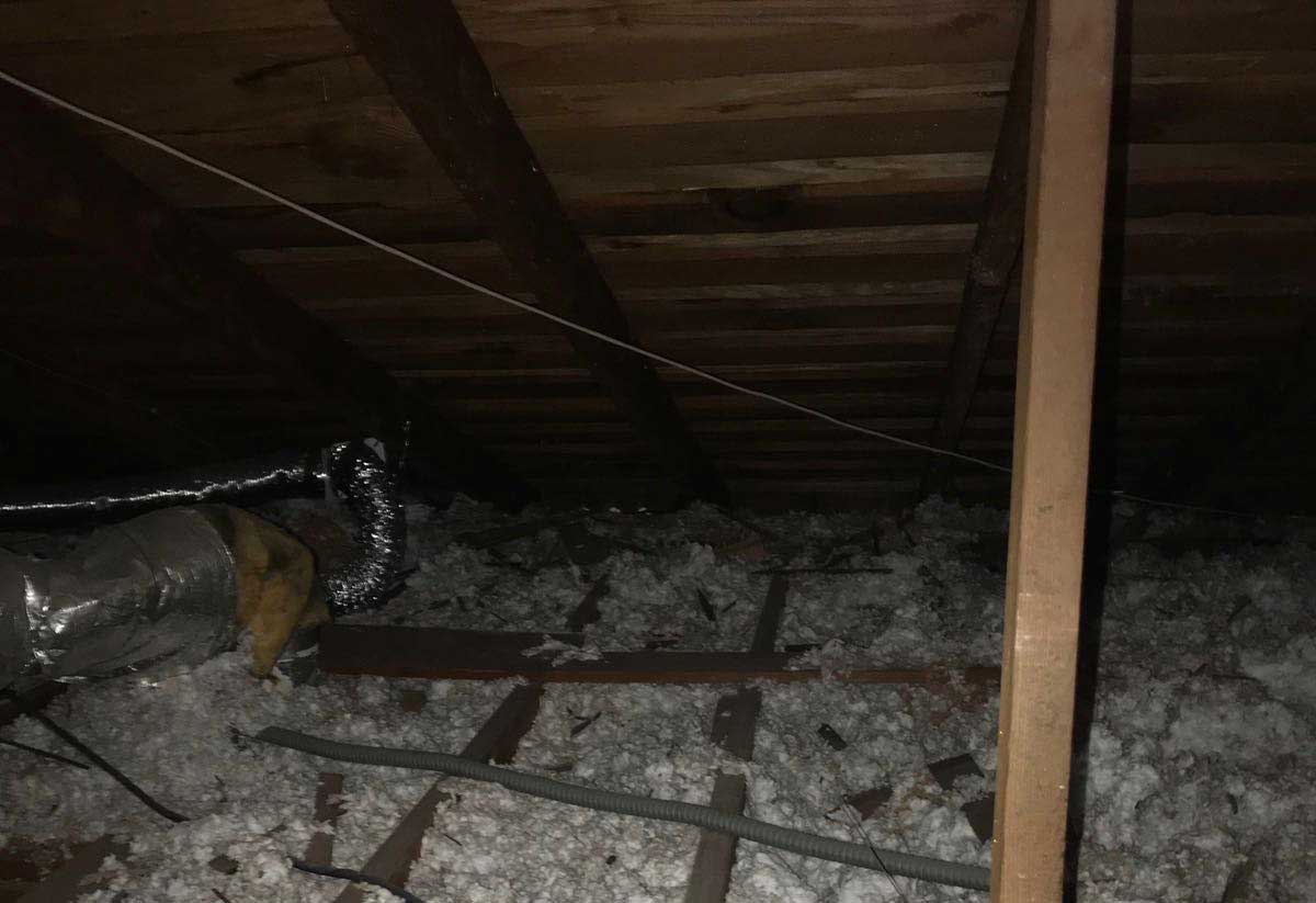 Rodent Proofing Project | Attic Cleaning Hayward, CA