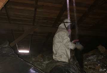 Attic Cleaning in Hayward | Attic Cleaning Hayward