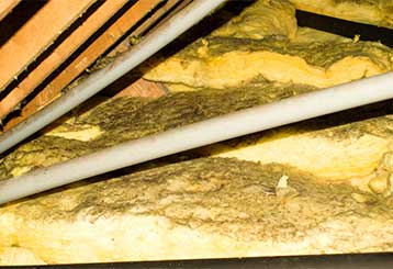 Attic Insulation Removal | Hayward, CA