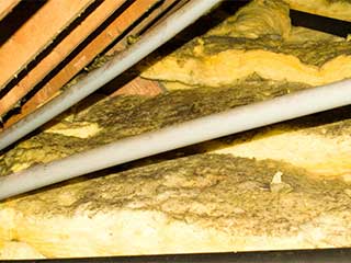 Attic Insulation Removal Services | Hayward, CA Attic Insulation Removal Services | Hayward, CA