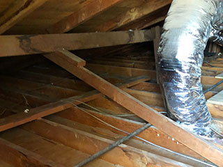 Crawl Space Cleaning Services | Attic Cleaning Hayward, CA Crawl Space Cleaning Services | Attic Cleaning Hayward, CA